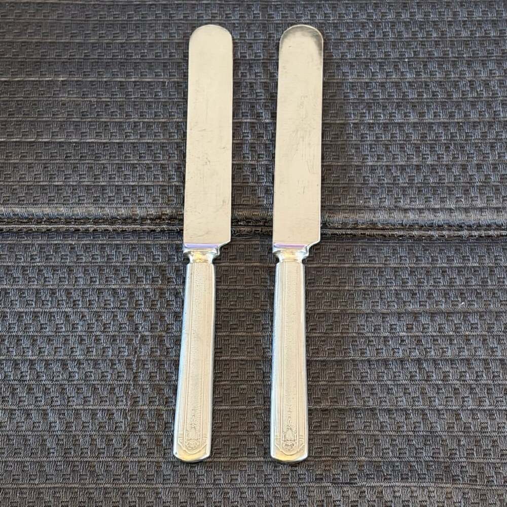 Unbranded Silverplate Blunt Handle Dinner Knives Set of 2 Art Deco Gorgeous!